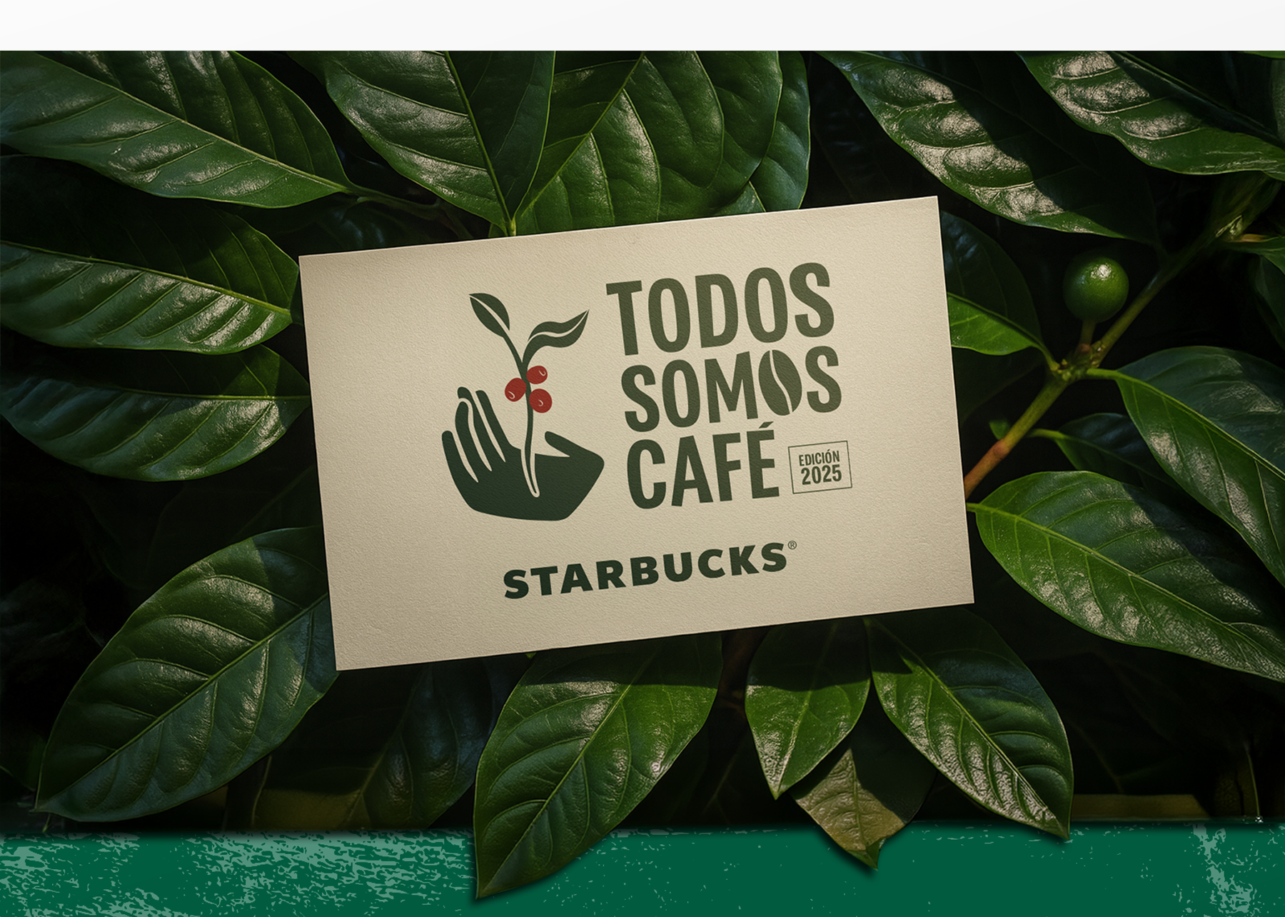 TODOS SOMOS CAFÉ Image