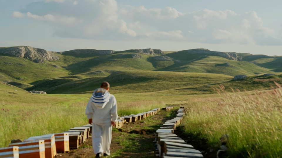 Mersin Toroslari 300 Yillik Miras Image