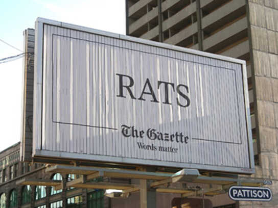 Rats