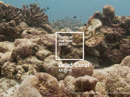 Dead Coral Color of the Year 2043
