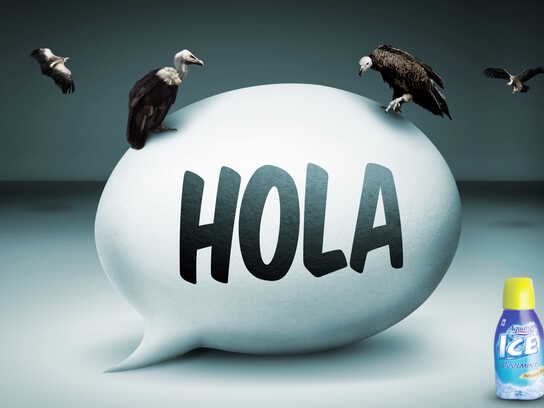 Hola