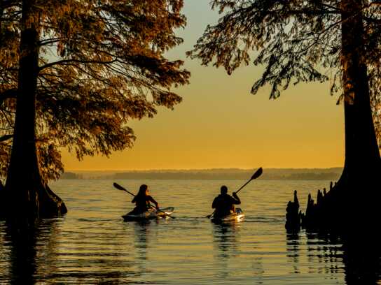  Tennessee Tourism “RealSeal” Campaign 