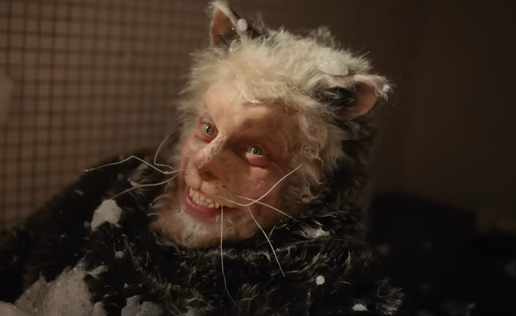  The Icelandic Yule Cat Image