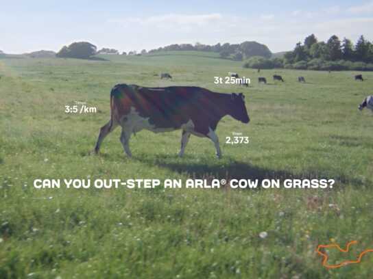 Cow Step Challenge