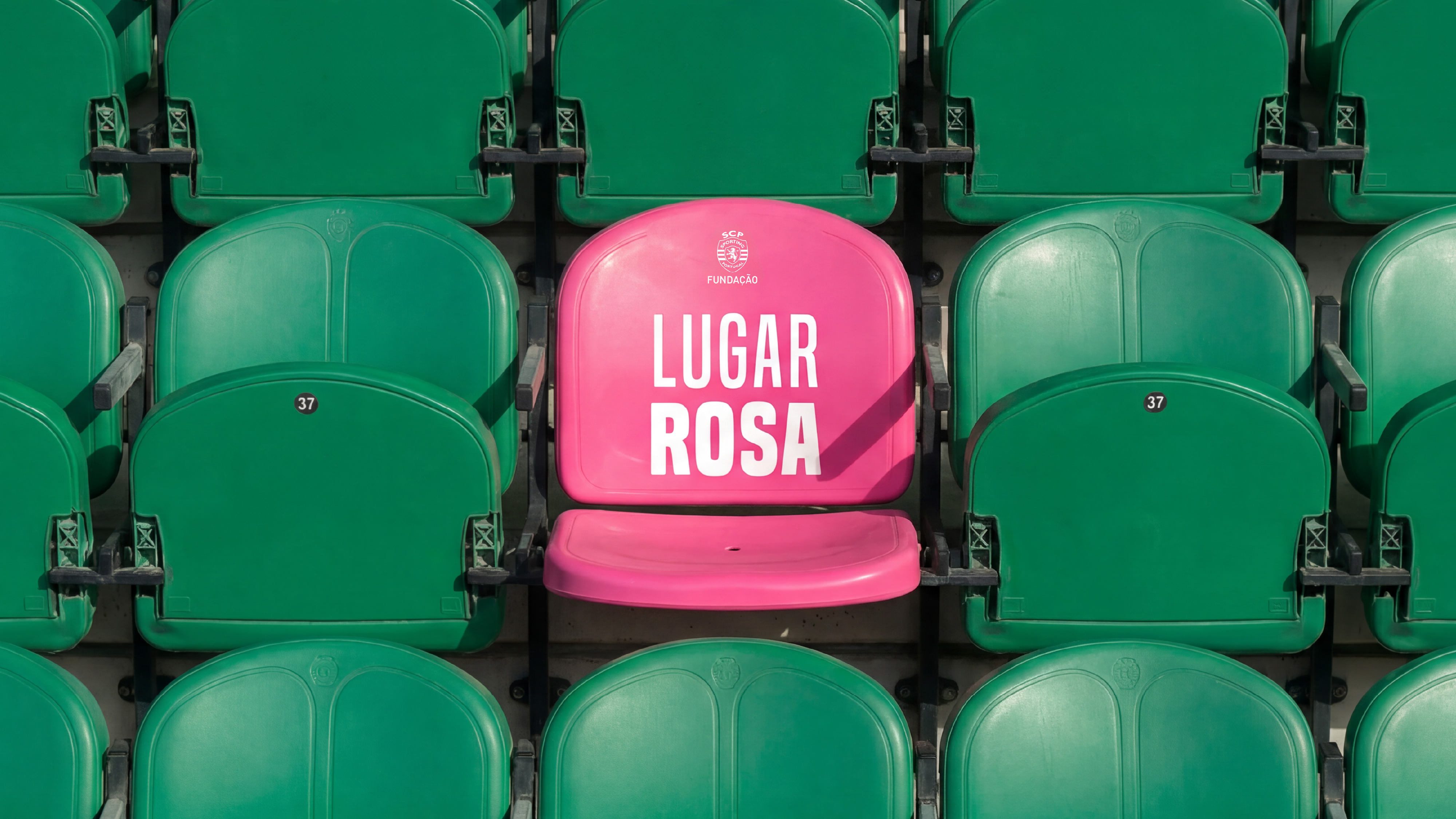 Pink Seat Image