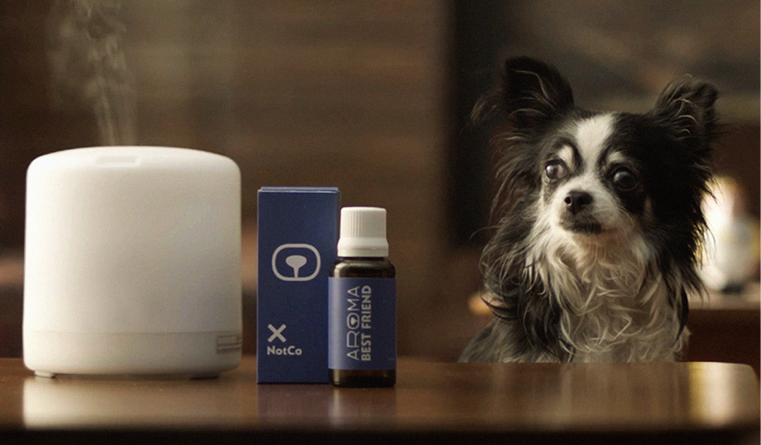 Aroma Best Friend Image