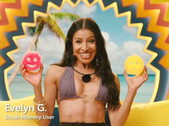  Scrub Daddy Island