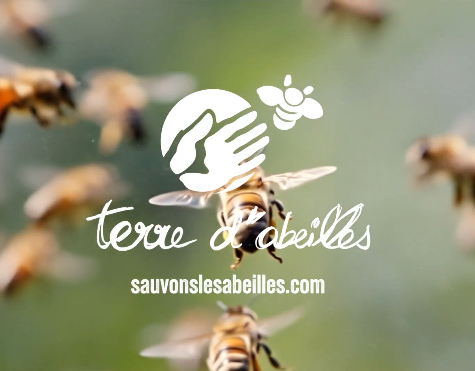 The Price of a World Without Bees Image