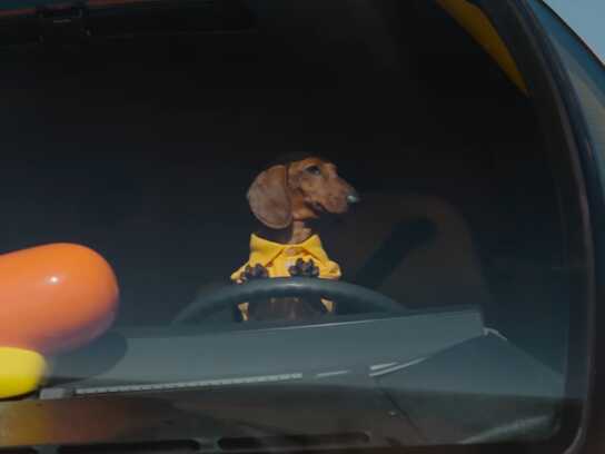 Dog Tested, Dog Approved