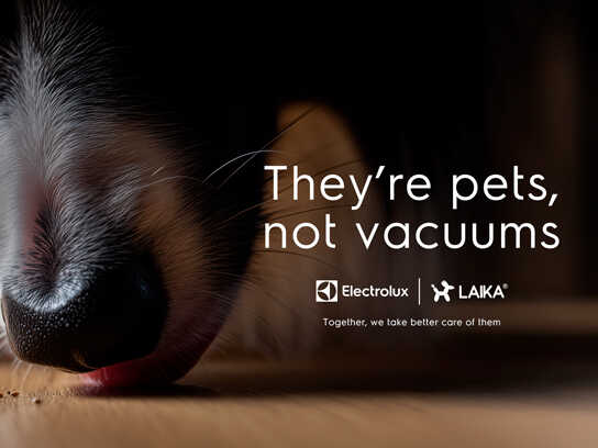 They’re pets, not vacuums