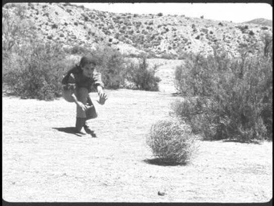 Tumbleweed trainer