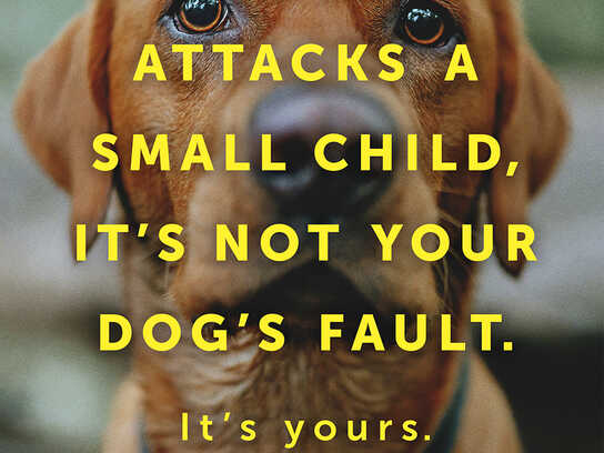 Your dog is your responsibility.