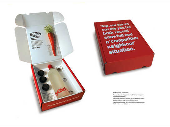 Professional snowman