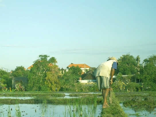 Valentine's Day - Farmers Love