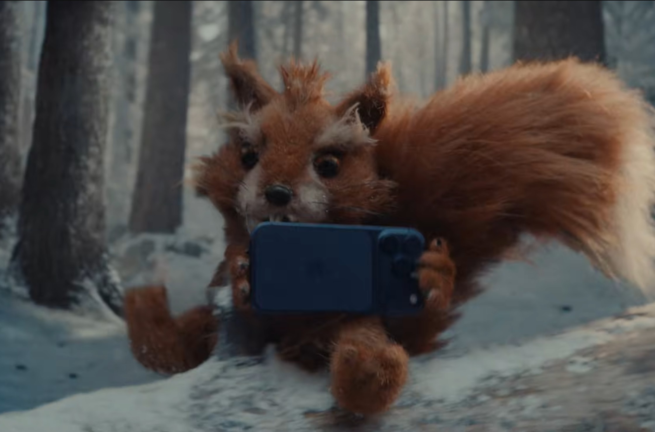 A Critter Carol Image