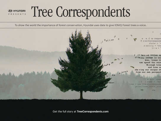 Tree Correspondents