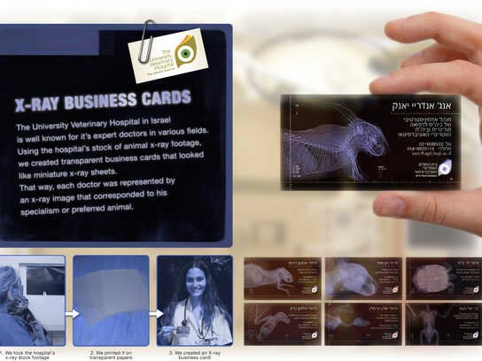 X-Ray Business Card
