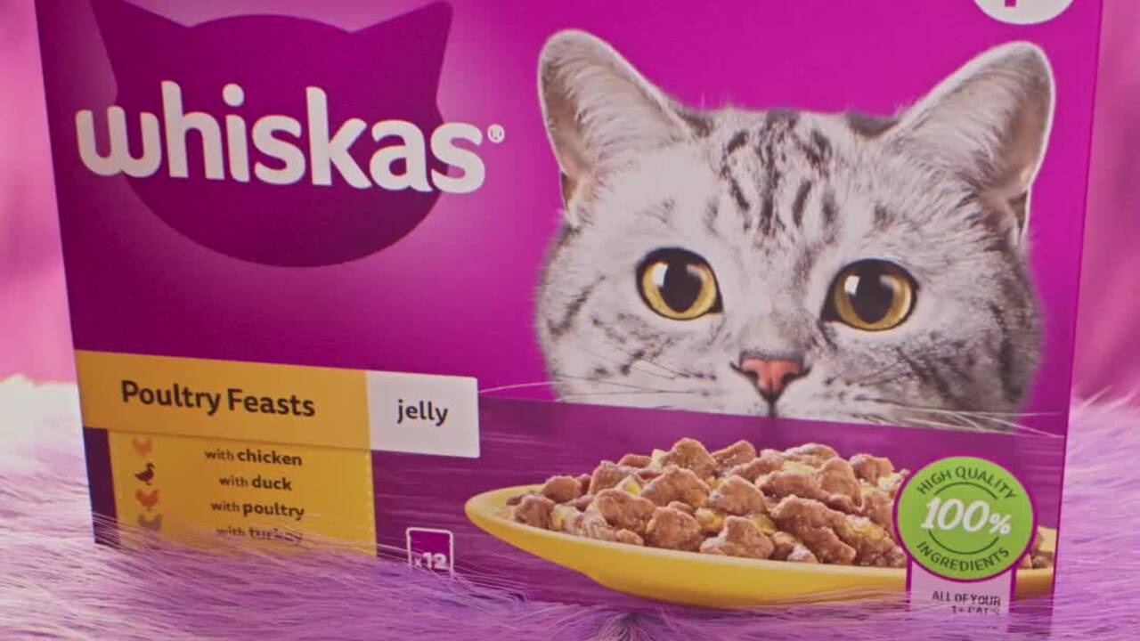 Whiskas advert 2025