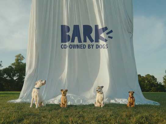 BARK in the Belly