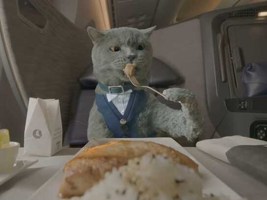  Flying with Your Pet