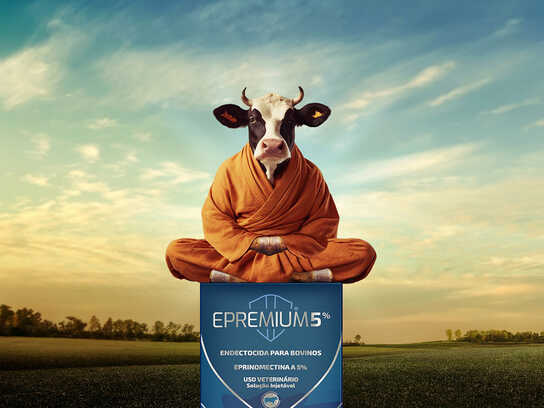 Zen Cow