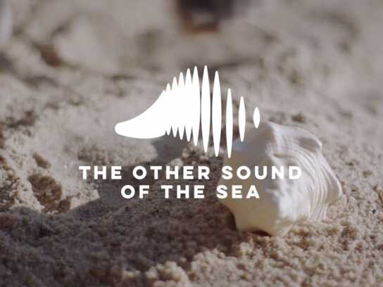 #TheOtherSoundOfTheSea