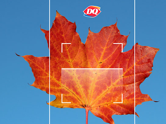 Falling Treats Image