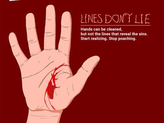 Palmistry of Poachers 