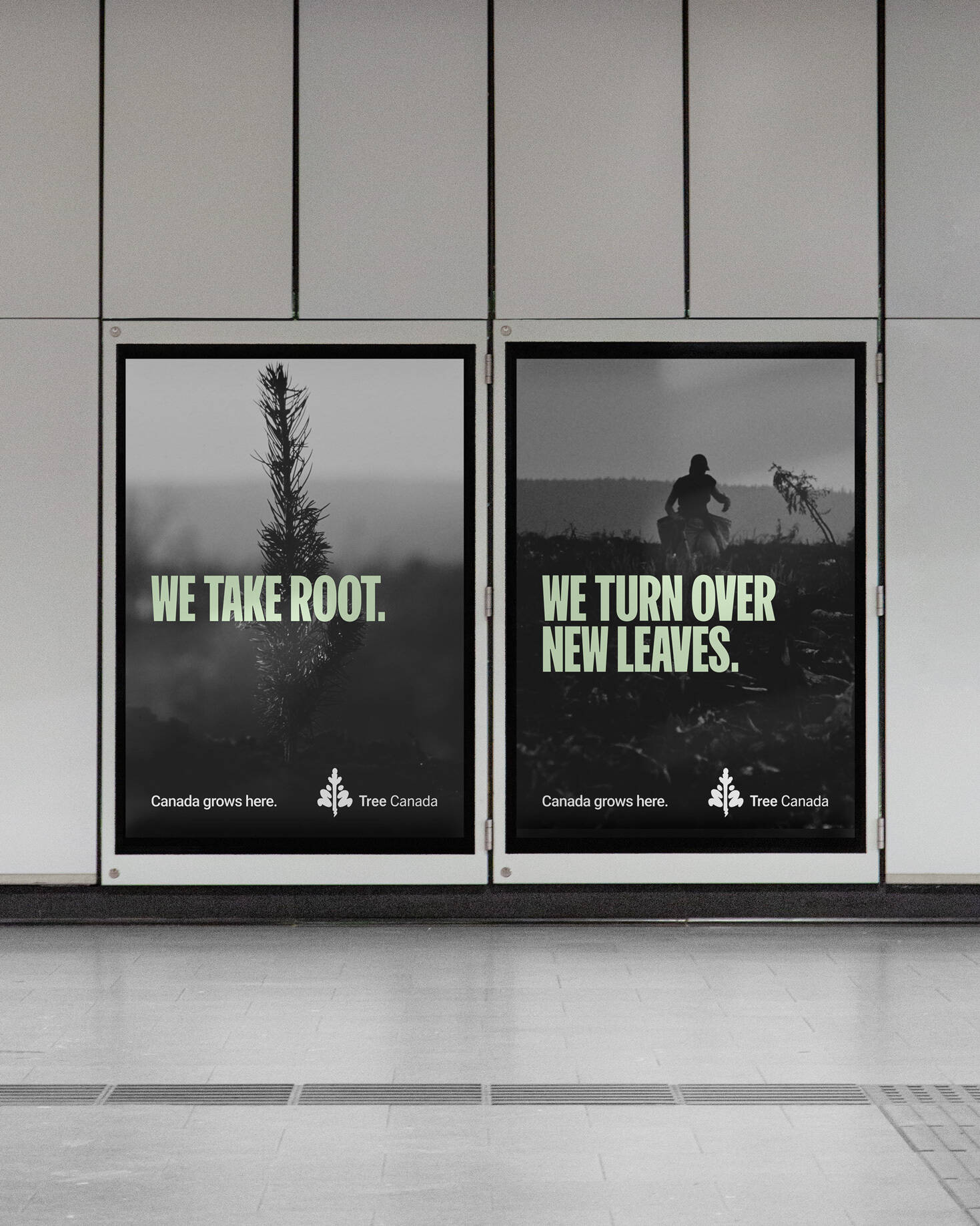 Tree Canada campaign visual 2