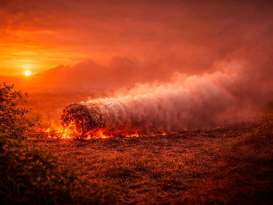 WHERE THERE'S LITTER, THERE'S FIRE.