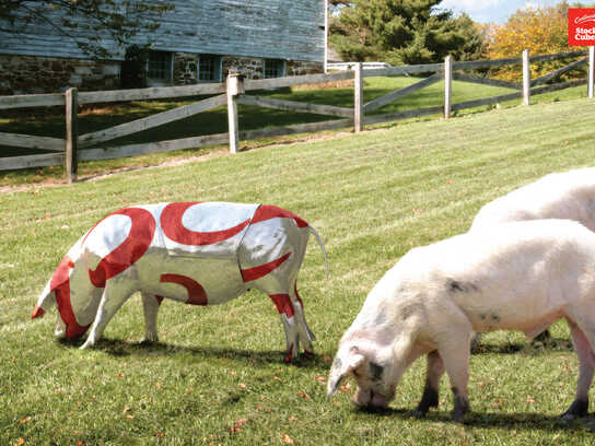 Bacon, Chicken, Beef