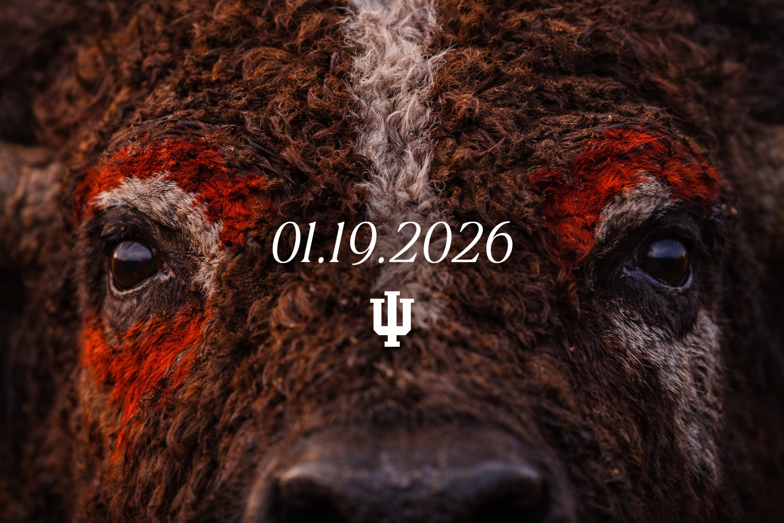 Storm Chasers: CFB National Championship Hype  Image