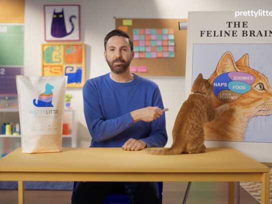 Inside The Mind Of A Cat,