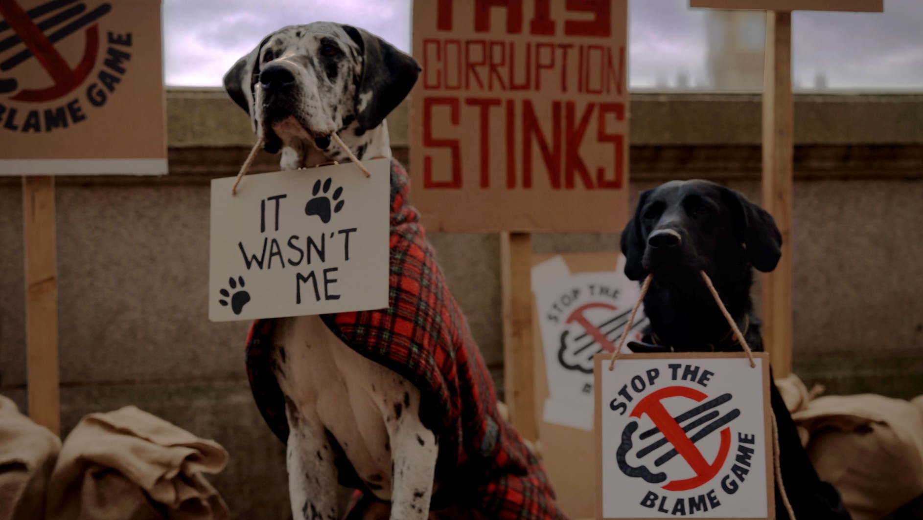 Stop the Blame Game Image