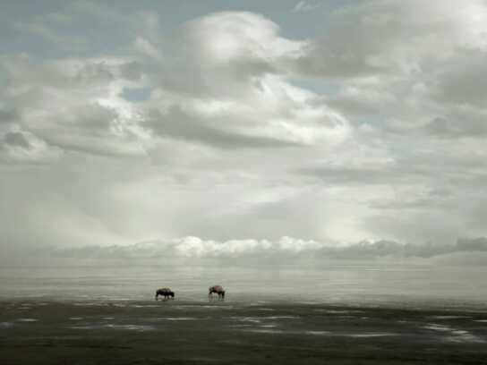 WE the PUBLIC: A documentary film by Andy Anderson
