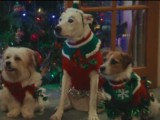 That's What Makes It Christmas