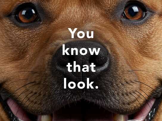 When the Science of Love Is Proven by Those Who Live It