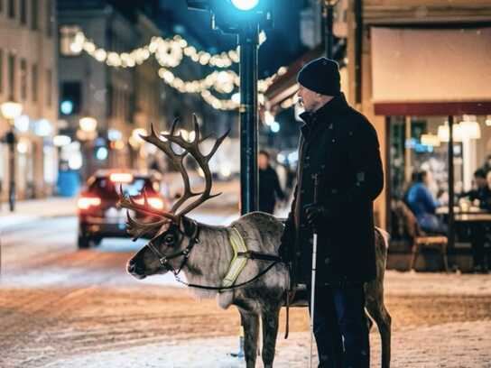 Santa’s reindeer takes on odd jobs