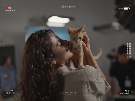 Adoption Catsting Image