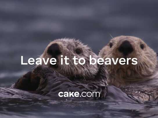 The Beaver Privacy Paradox