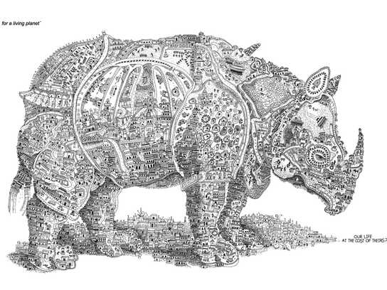 Rhino, Elephant, Turtle