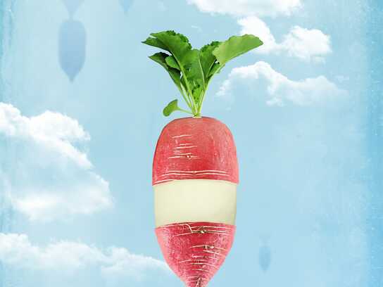 Radish, Broccoli