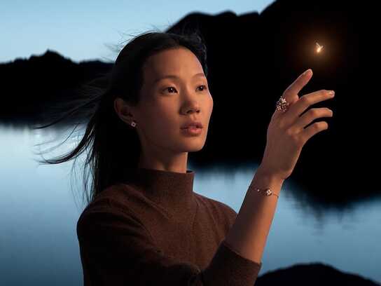 The Journey of the Enlightenment