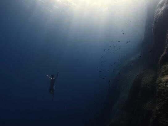 Free Diver