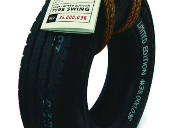 Tyre swing