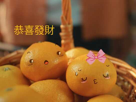 金柑有礼 Golden Blessings