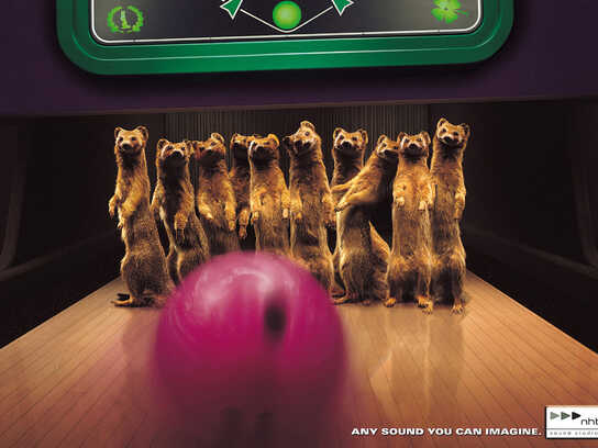 Mongoose bowling