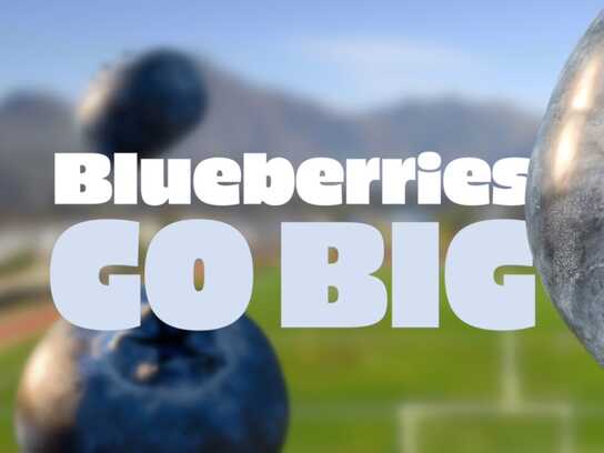 Blueberries. GO BIG