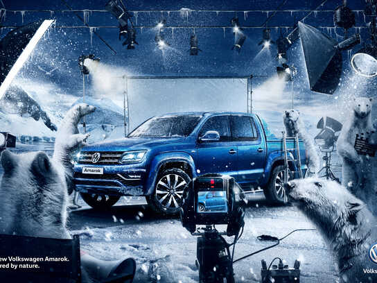 Captured by Nature - Bear, Captured by Nature - Monkeys