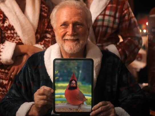 What If Birds Can Take Selfies?